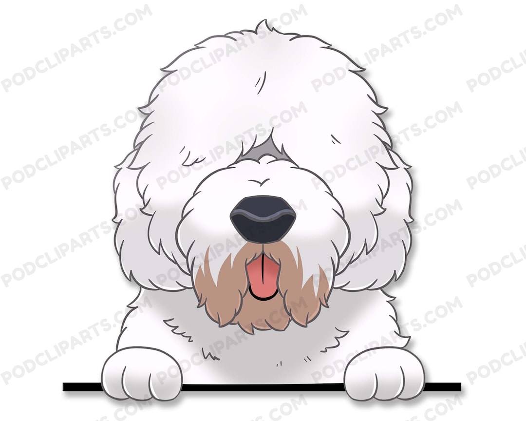 Viejo pastor ingles  Old english sheepdog, I love dogs, Sheepdog