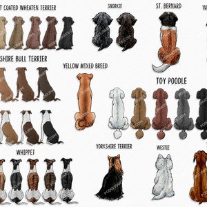 May include: A digital illustration of various dog breeds in a sitting position, viewed from behind. The breeds include Soft Coated Wheaten Terrier, Snorkie, St. Bernard, Weimaraner, Staffordshire Bull Terrier, Yellow Mixed Breed, Toy Poodle, Whippet, Yorkshire Terrier, Westie, and Vizsla.