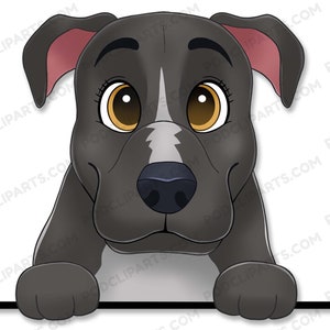Mountain Cur Cartoon Dog clipart, Labrador Dog Drawing Png, Dog Clipart, Dog lover png, Dog Face Digital Clip Art, Peeking Dog Clipart-IL02