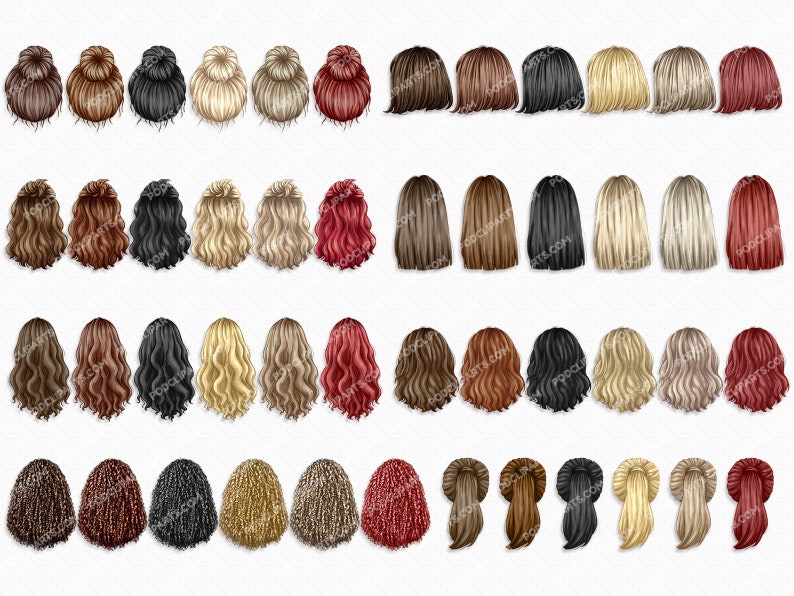 May include: A set of 40 digital illustrations of different hairstyles for women. The hairstyles are all in various shades of brown, blonde, black, red, and gold. The hairstyles are all in a back view.