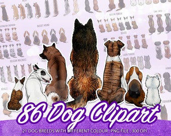 Dog Breeds Watercolor Clipart, Puppies Illustrations (Digital Download)