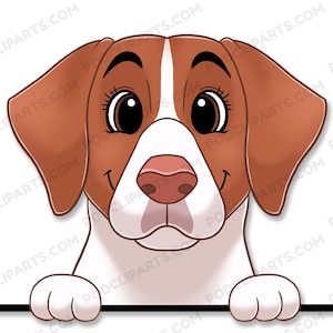 Brittany Dog Face Digital Clip Art, Pet Portrait, Dog portrait Painting, Cartoon Dog Portrait, Digital Dog Art, Pet Portrait from Photo-IL49