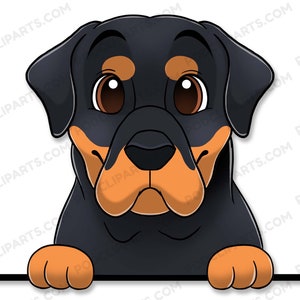 Rottweiler Dog Face Digital Clip Art, Pet Portrait, Dog portrait Painting, Cartoon Dog Portrait,Digital Dog Art,Pet Portrait from Photo-IL77