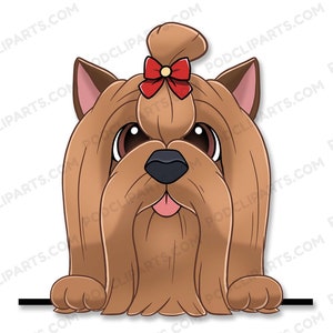 Yorkshire Terrier Cartoon Dog Portrait, Dog Drawing Png, Dog Clipart, Dog lover png, Dog Face Digital Clip Art, Peeking Dog Clipart - IL94