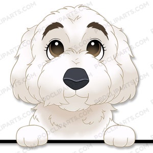 Bichon Dog clipart, breeds Cartoon, Pet Portrait, Adopt A Pet, Cartoon Pet, Pet Drawing, Custom Pet Cartoon,Dog illustration,PNG, - IL05