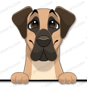 Boerboel Dog Face Digital Clip Art, Portret zwierzaka, Malowanie portretów psów, Portret psa z kreskówek, Cyfrowa sztuka psów, Portret zwierzaka ze zdjęcia-IL93