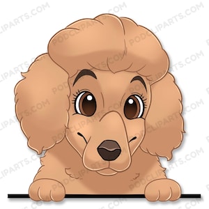 Miniature Poodle Cartoon Dog Portrait, Dog Drawing Png, Dog Clipart, Dog lover png, Dog Face Digital Clip Art, Peeking Dog Clipart - IL86