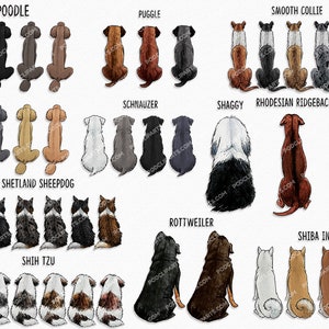 May include: Illustration of different dog breeds in various colors, sitting in a row. The breeds include Poodle, Pug, Smooth Collie, Schnauzer, Shaggy, Rhodesian Ridgeback, Samoyed, Shetland Sheepdog, Shih Tzu, Rottweiler, and Shiba Inu.