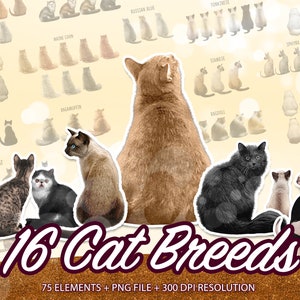 Watercolor Cats, Cat Clipart, Cat Breeds, Kitten Clipart, Cat Bundle, Cat Graphics, Cat Illustrations, Cat lovers gift,Digital Download-CA11