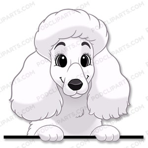 Poodle Dog Clipart, PeekABoo Dog, Cartoon Pet Portrait, Pet Cartoon, Cartoon Dog, Dog Portrait, Pet Drawing, Dog Face Digital Clip Art -IL72