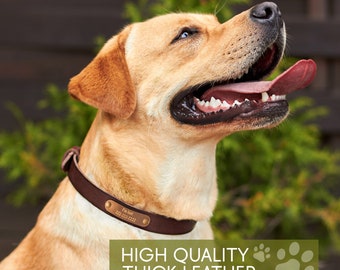 Dog collar ID tag, Leather dog collar, Dog collar with name, Custom dog collar, Waterproof collar, Adjustable collar ID, Collar with number