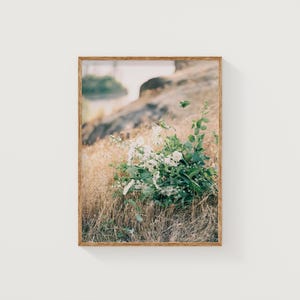 Columbia Gorge Floral Landscape Fine Art Print – Vertical Printable Wall Art – Instant Download