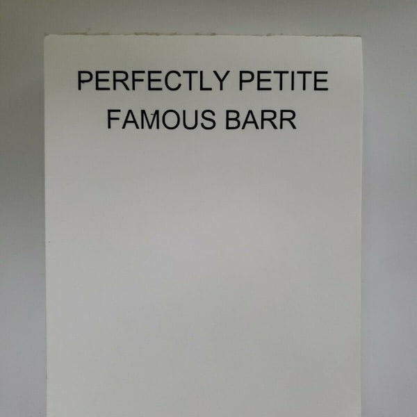 Vintage famous barr department store note pad "perfectly petite" section u113