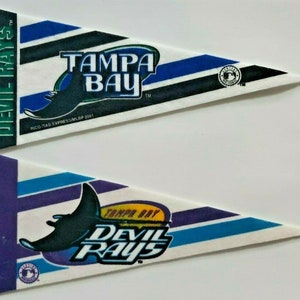 Tampa Bay Devil Rays: 1998 Inaugural Season Majestic Pinstripe Tee (L) –  National Vintage League Ltd.