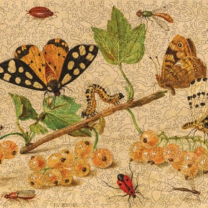 Insects & Fruits Jigsaw Puzzle For Adults | Jan van Kessel Dutch Artwork | Premium 571 Piece Wooden Jigsaw Puzzle | Difficult Jigsaw Puzzles