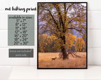 Yosemite Valley Fall Photography Print, Landscape Wall Art