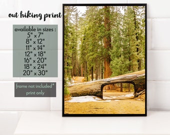 Sequoia National Park Tunnel Log Print – California Mountain Wall Art