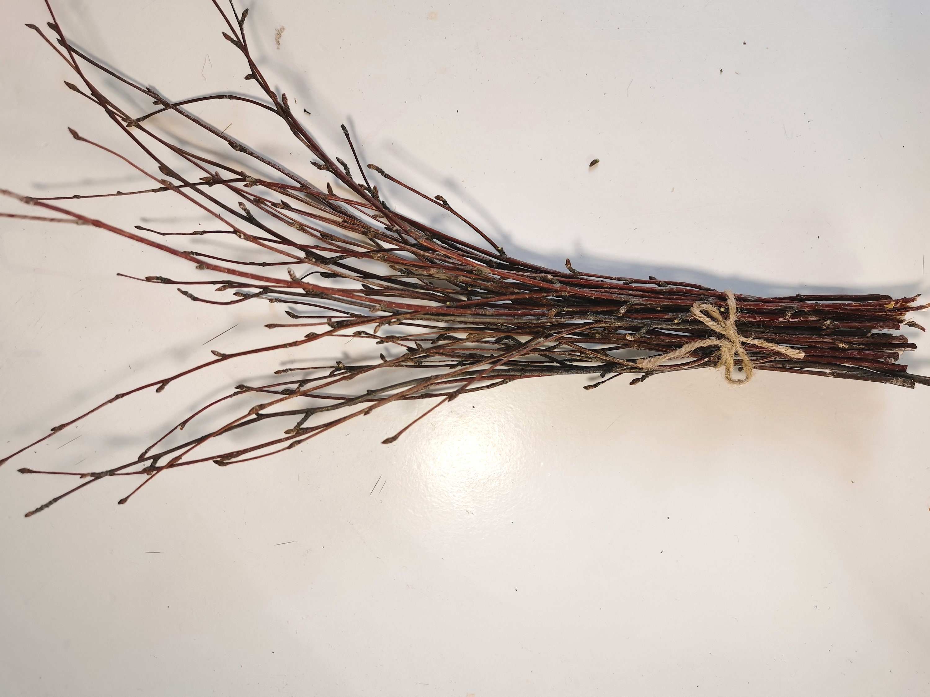 Birch branch 27pcs set Bouquet of birch branches Birch Etsy