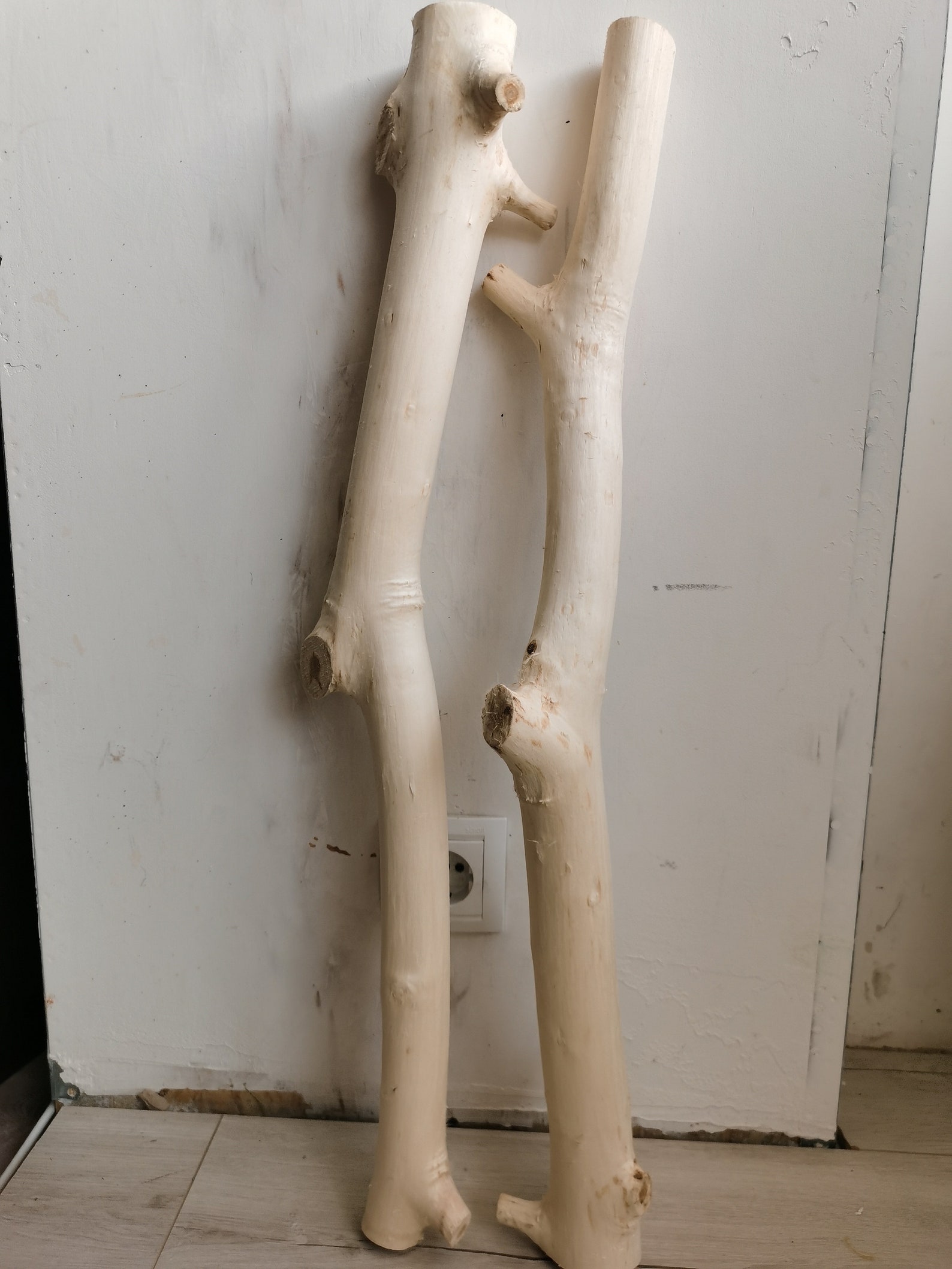 White stick 2pcs Large branches White branches Wooden Etsy