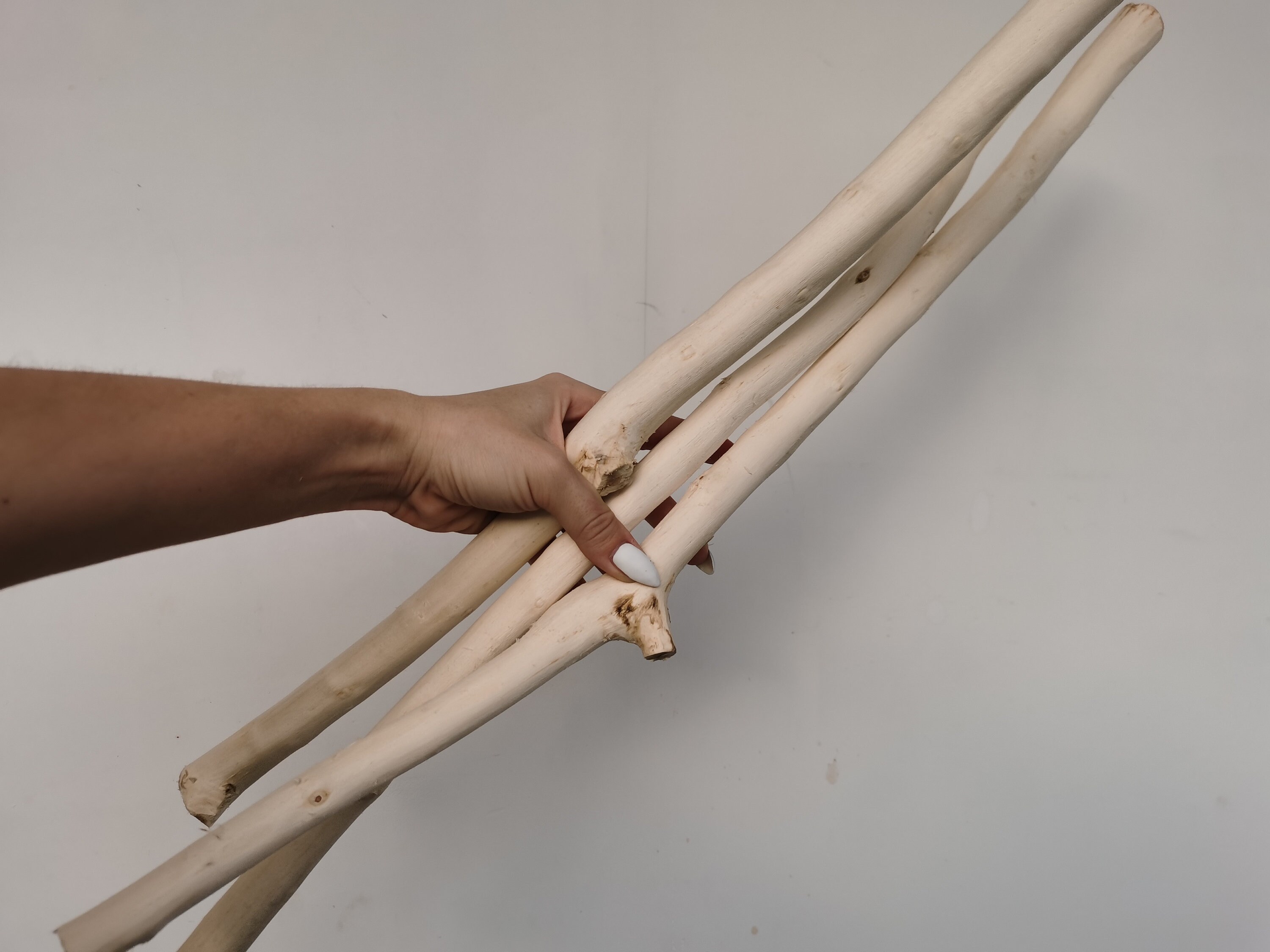 White stick 3pcs White branches Wooden decor Aspen Etsy