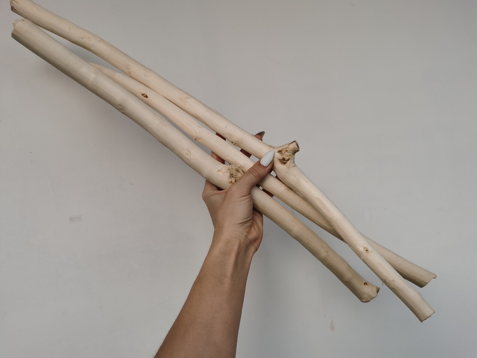 White stick 3pcs White branches Wooden decor Aspen Etsy