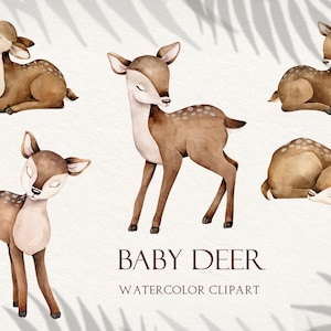 Baby Deer Watercolor Animal Clipart, sztuka przedszkolna, dzieci, zaprosić, powitanie, słodki jeleń, babyshower, zwierzęta leśne, urodziny, chłopiec, dziewczyna