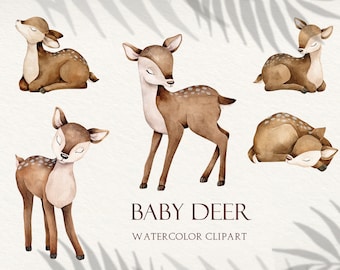 Baby Deer Watercolor Animal Clipart, nursery art, kids, invite, greeting, cute deer, babyshower, woodland animals, birthday, boy, girl