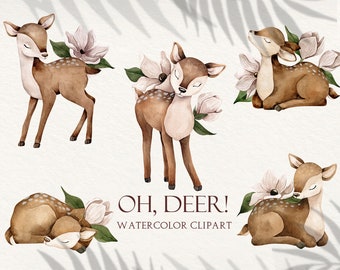 Baby Deer Watercolor Animal Clipart. floral, nursery art, deer flowers, kids, invite, greeting, cute deers, babyshower, woodland animals