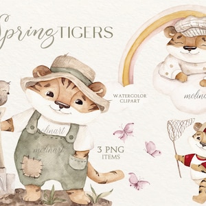 Clipart de acuarela de tigre lindo, tigre de primavera, dibujo de tigres, conjunto de tigres de dibujos animados lindos, arte infantil, baby shower, cumpleaños, tigre pequeño