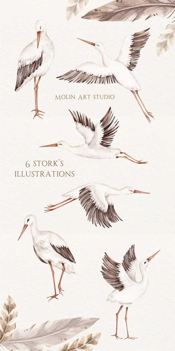 3羽のコウノトリ 水彩画風 アート 水彩コウノトリのクリップアートセット：飛ぶ鳥、羽、巣（デジタル