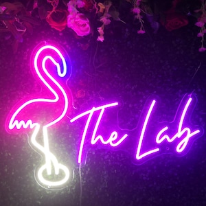 Insegna fenicottero personalizzata Luce al neon Camera da letto Stanza dei bambini Decorazione per la casa Insegna a LED con animali Regalo di compleanno Laurea Insegna da bar personalizzata Decorazione con luce a LED