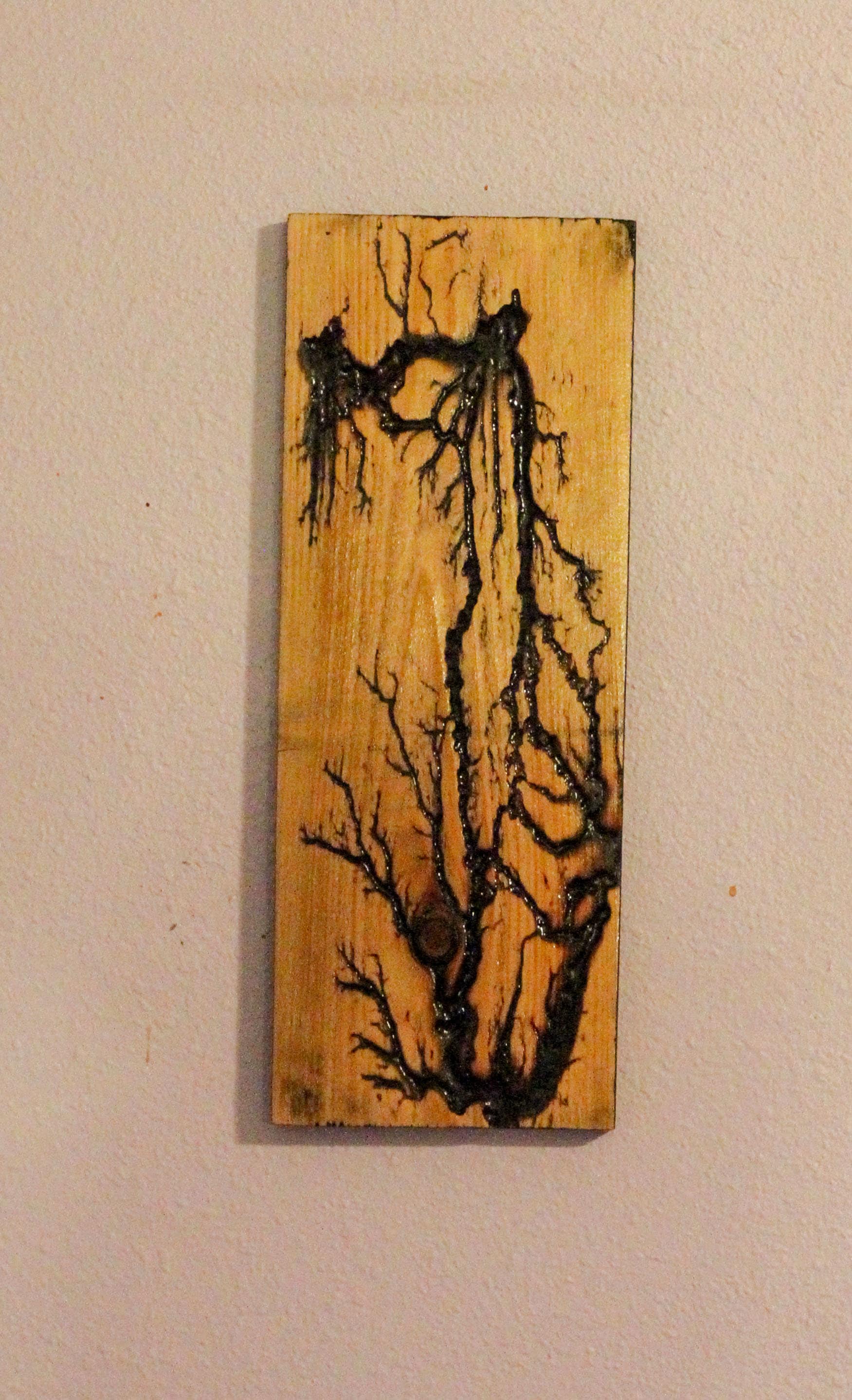 Lichtenberg Wood Burning, Rustic Wooden Wall Art, Lightning Wall Hanging, Burnt Wooden Art