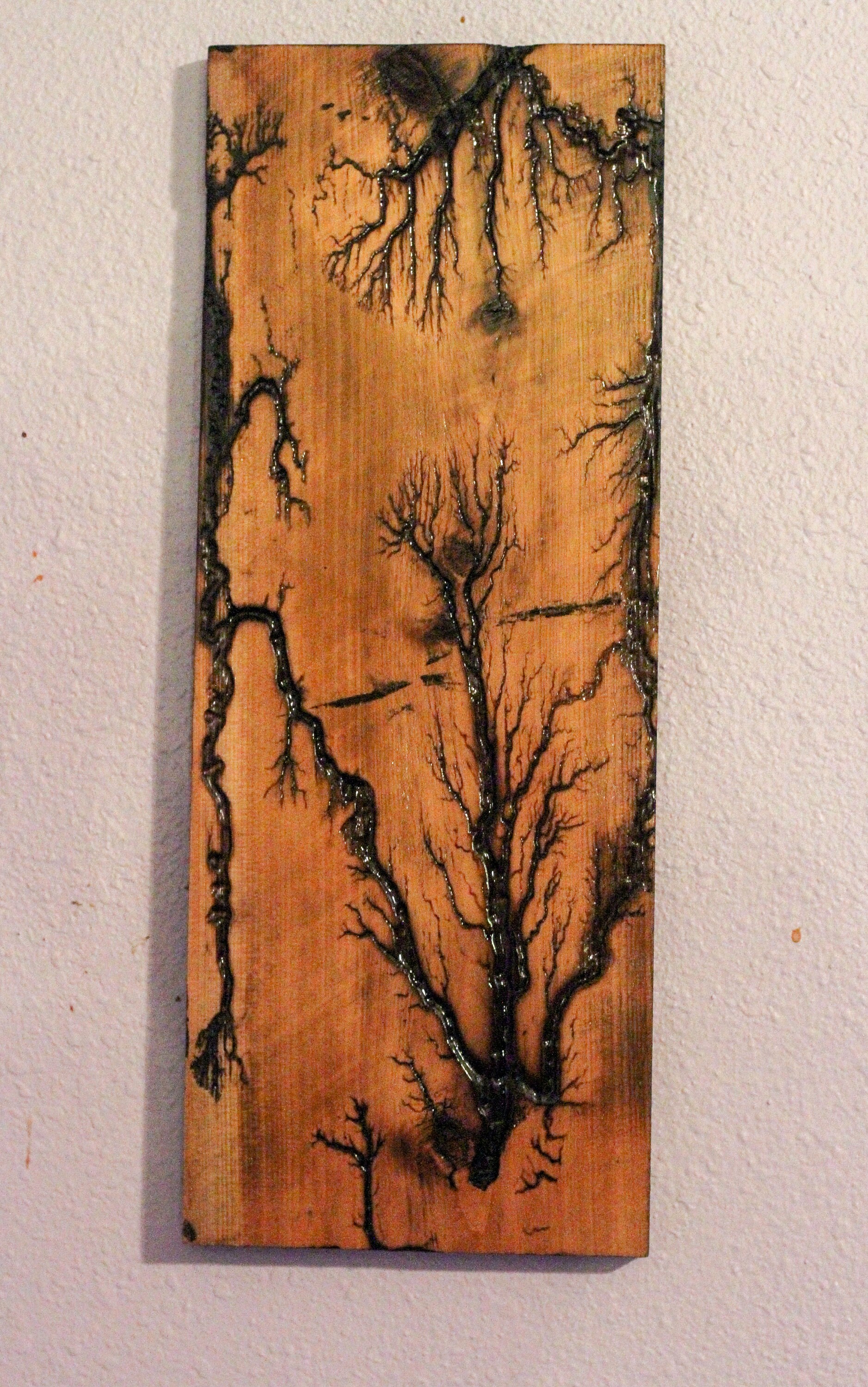 Lichtenberg Wood Burning Art Dansha Branded Artwork 1297