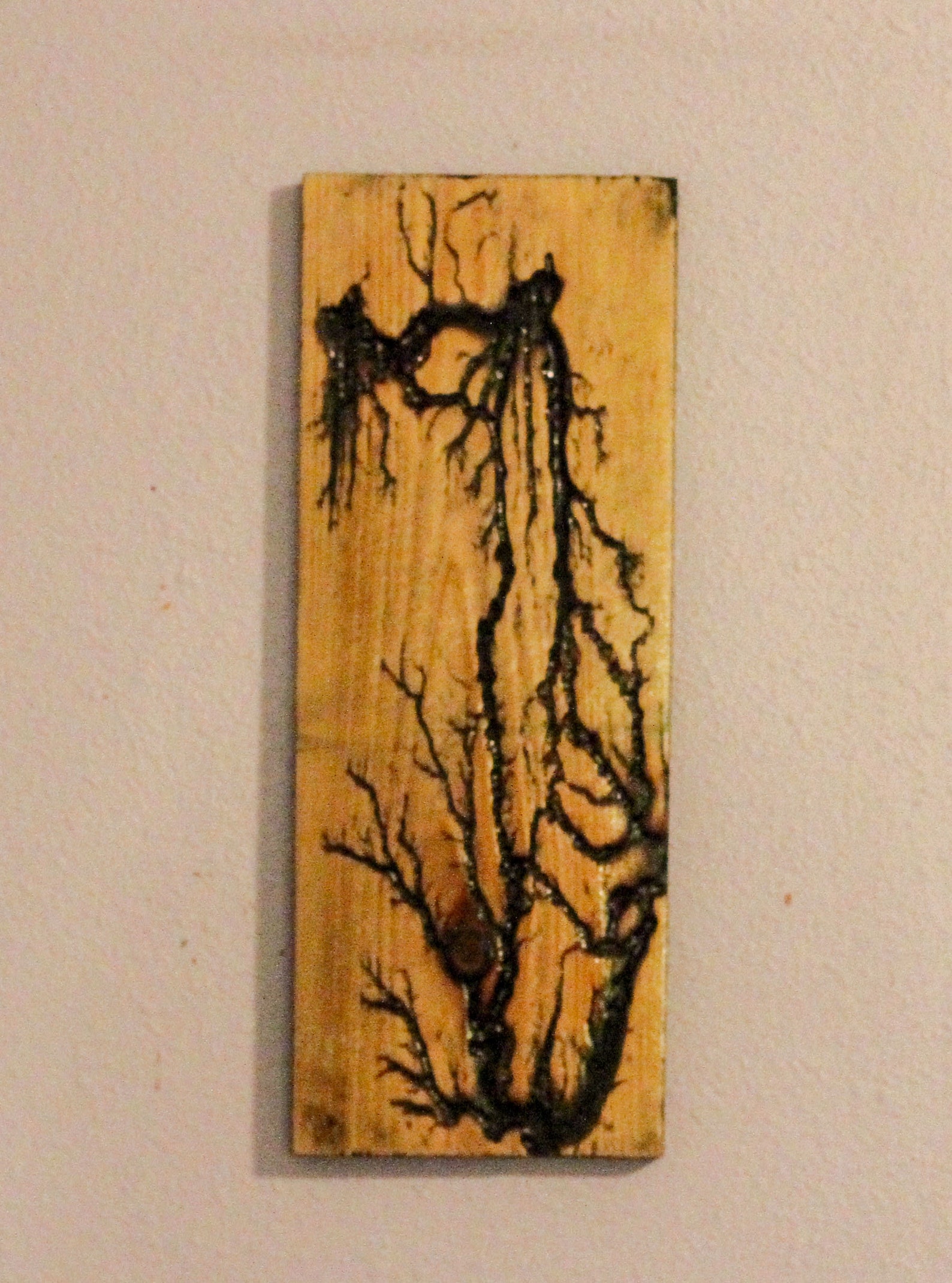 Lichtenberg wood burnings lightning on wood high voltage Etsy