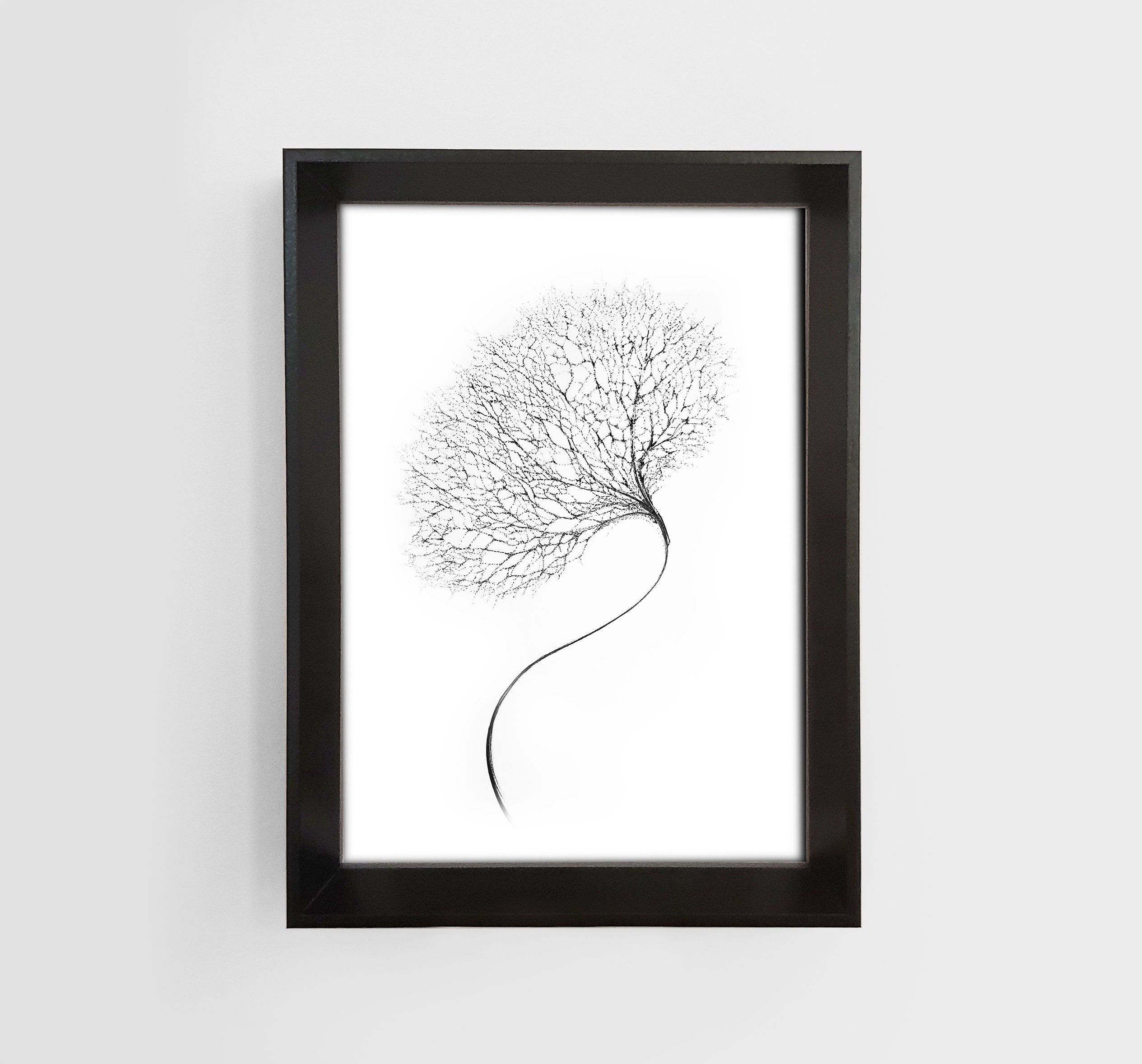 Impression Fleur A4 21x29, 7