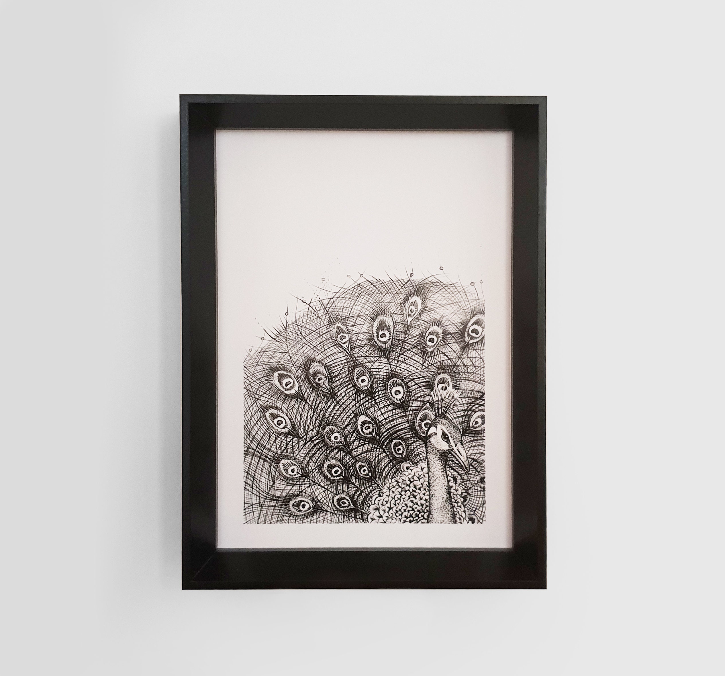 Impression Paon A4 21x29, 7