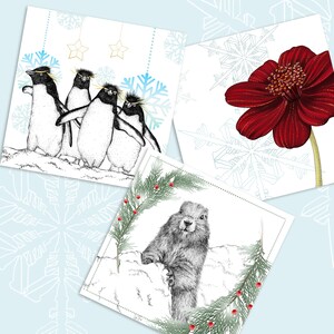 3 petites cartes de Noël avec espèces en voie de disparition