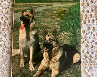 1976 Todo sobre los perros guardianes, por Howard H. Hirschhorn