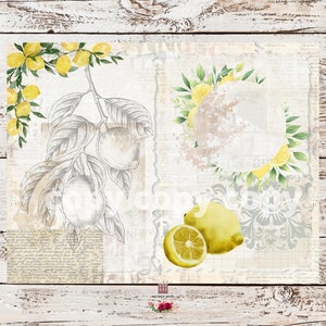 Lemon Junk Journal Pages, Vintage Lemon, Digital Junk Journal Kit ...