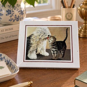 May include: A rectangular white box featuring a centered illustration of a shaggy, long-haired white and gray dog licking the face of a small, brown and black tabby kitten. The artwork is framed by a thin, dark red border on the box surface.