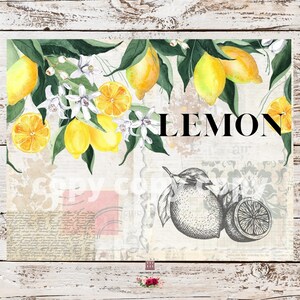 Lemon Junk Journal Pages, Vintage Lemon, Digital Junk Journal Kit ...