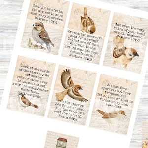 Puede incluir: Seis tarjetas de estilo vintage con citas inspiradoras sobre gorriones y fe. Cada tarjeta presenta una ilustración de gorrión y un versículo bíblico. Las tarjetas están impresas en un papel texturizado con una estética vintage.