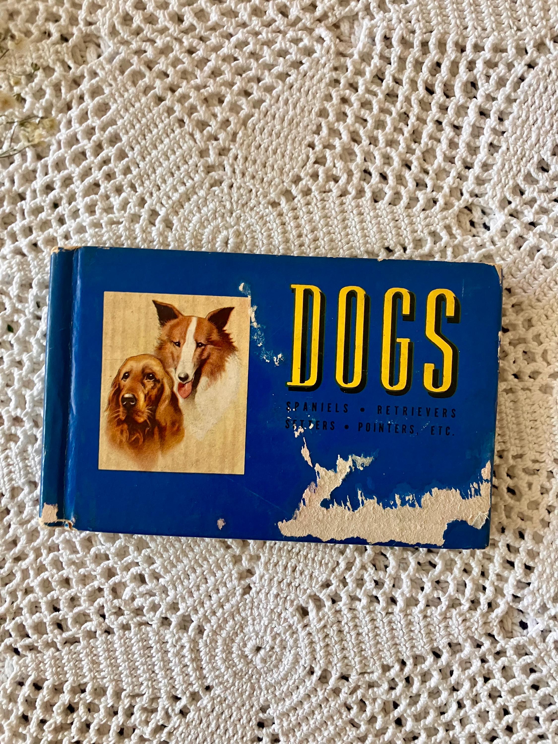 Setter Dog Bookends - Etsy