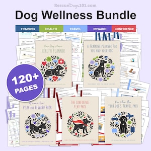 Hundplanerarepaket | Hälsojournaler, träningsloggar, resedagbok, ifyllbara PDF-filer och Google Sheets