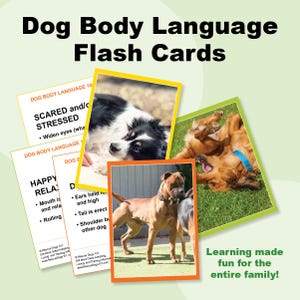 May include: A collection of flash cards titled "Dog Body Language Flash Cards." The cards feature images of dogs in various poses, with text describing their body language. The cards are in a variety of colors, including yellow, green, and orange.