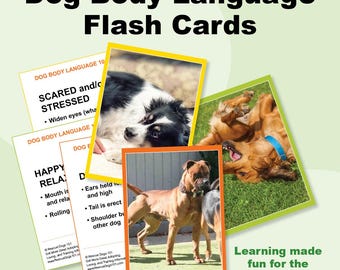 Lichaamstaal van de hond 101 Flash Cards – Afdrukbaar leerspel voor kinderen en volwassenen
