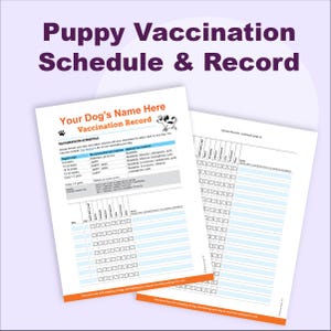 May include: Two white sheets of paper with a puppy vaccination schedule and record. The top sheet has the text "Puppy Vaccination Schedule & Record" and "Your Dog's Name Here Vaccination Record". The bottom sheet is a continuation of the vaccination record.