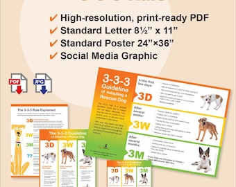 Flyer en poster met 3-3-3-regels voor schuilplaatsen en reddingsacties – afdrukbare voorlichtingstool adoptie (commercieel gebruik)