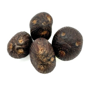 May include: Four dark brown, wrinkled, seed pods with a light brown interior. The pods are arranged in a cluster on a white background. The text "THREE EYED Ikini" is written below the pods.