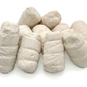 African Cascarilla or Efun is used in Orisa worship as a chalk to beautify the devotee or during initiations or special occasions